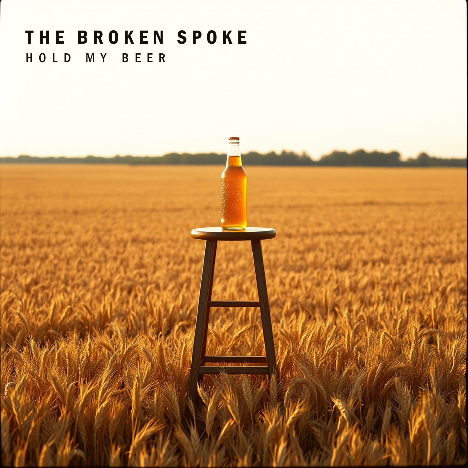 Hold My Beer — album sleeve